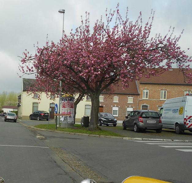 5de Nonkelfransrit (43).JPG
